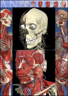 3D Interactive Anatomy Series