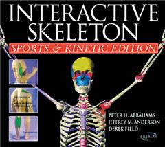 Interactive Skeleton Sports and Kinetic